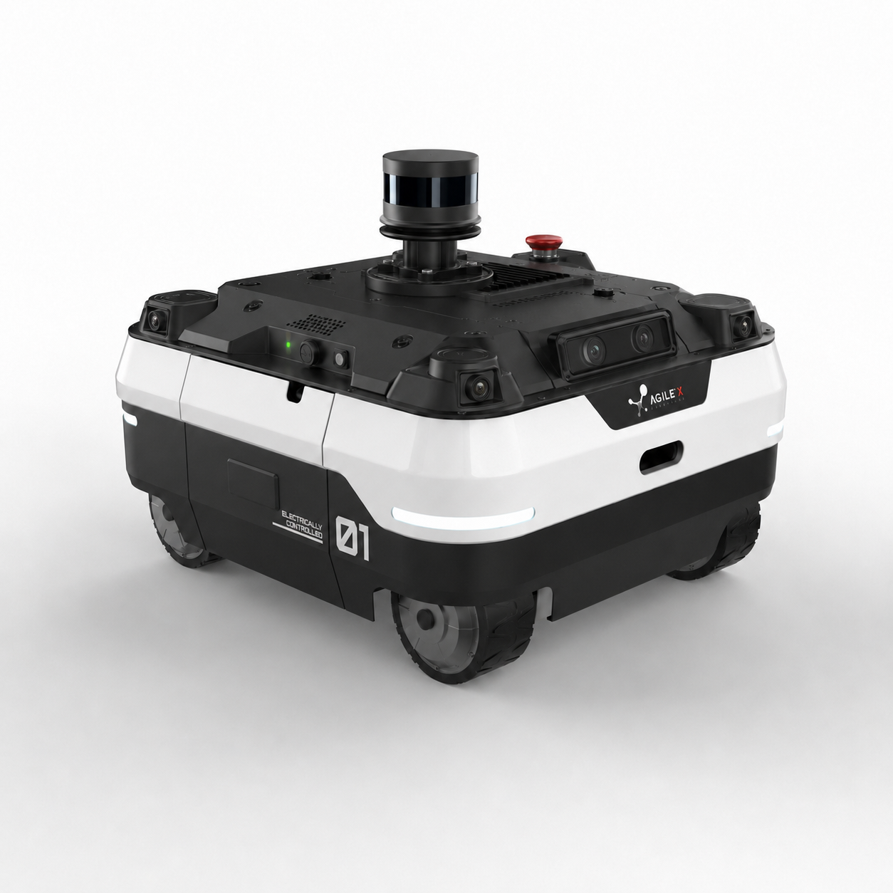 BagSafe Rover